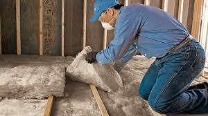 Best Eco-Friendly or Green Insulation Solutions  in Dranesville, VA